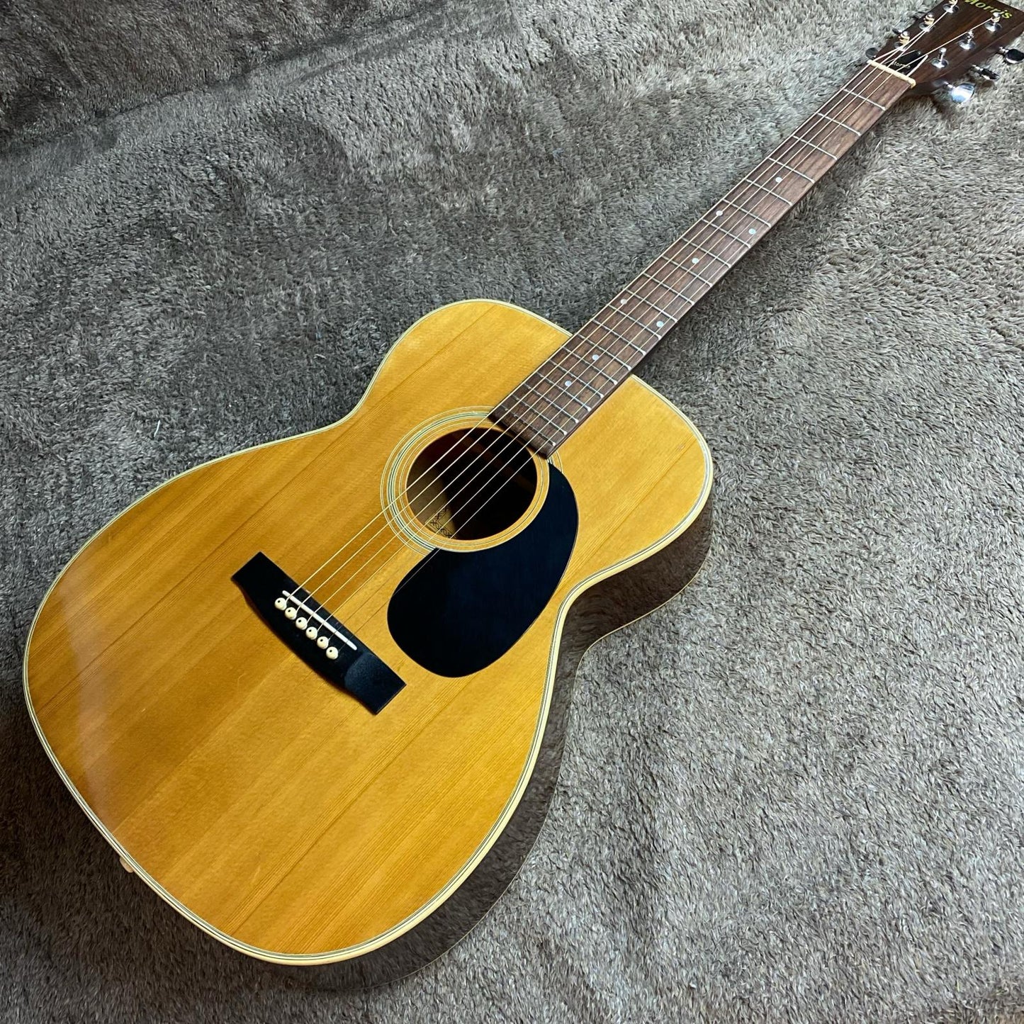 Morris | モーリス 楽器 F-15【尾張小牧店】