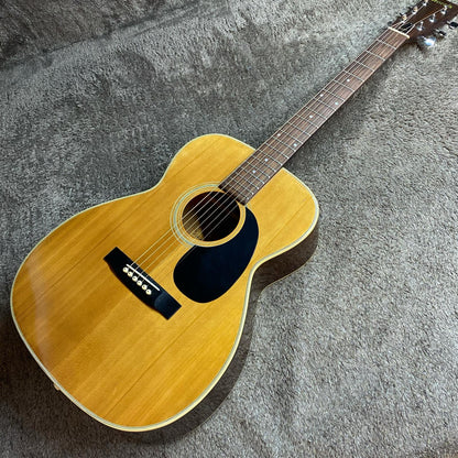 Morris | モーリス 楽器 F-15【尾張小牧店】