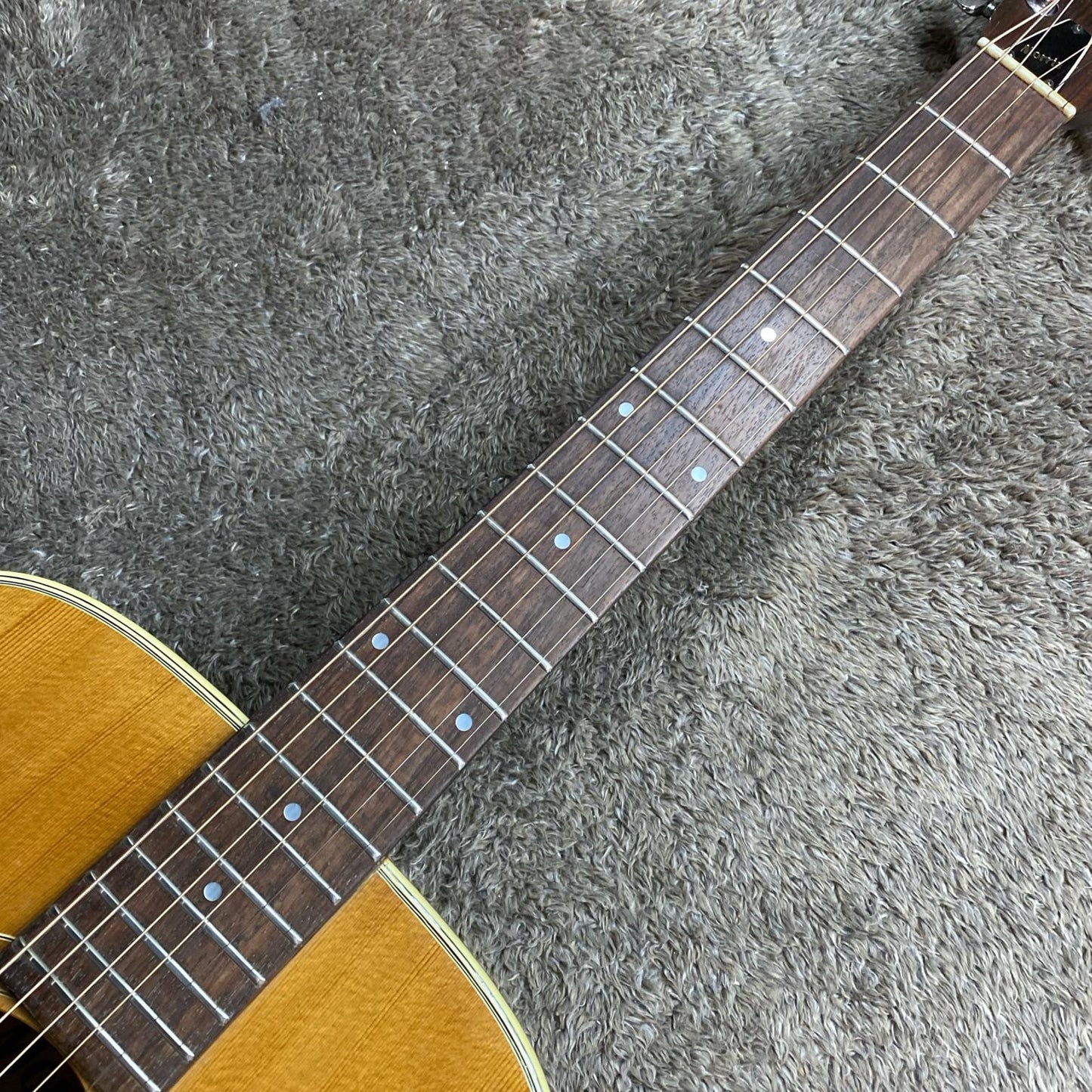 Morris | モーリス 楽器 F-15【尾張小牧店】