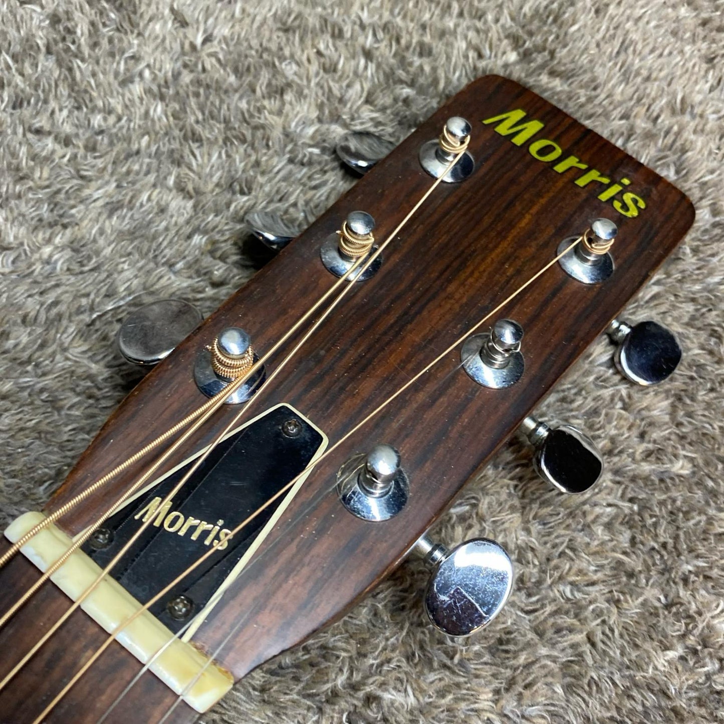Morris | モーリス 楽器 F-15【尾張小牧店】