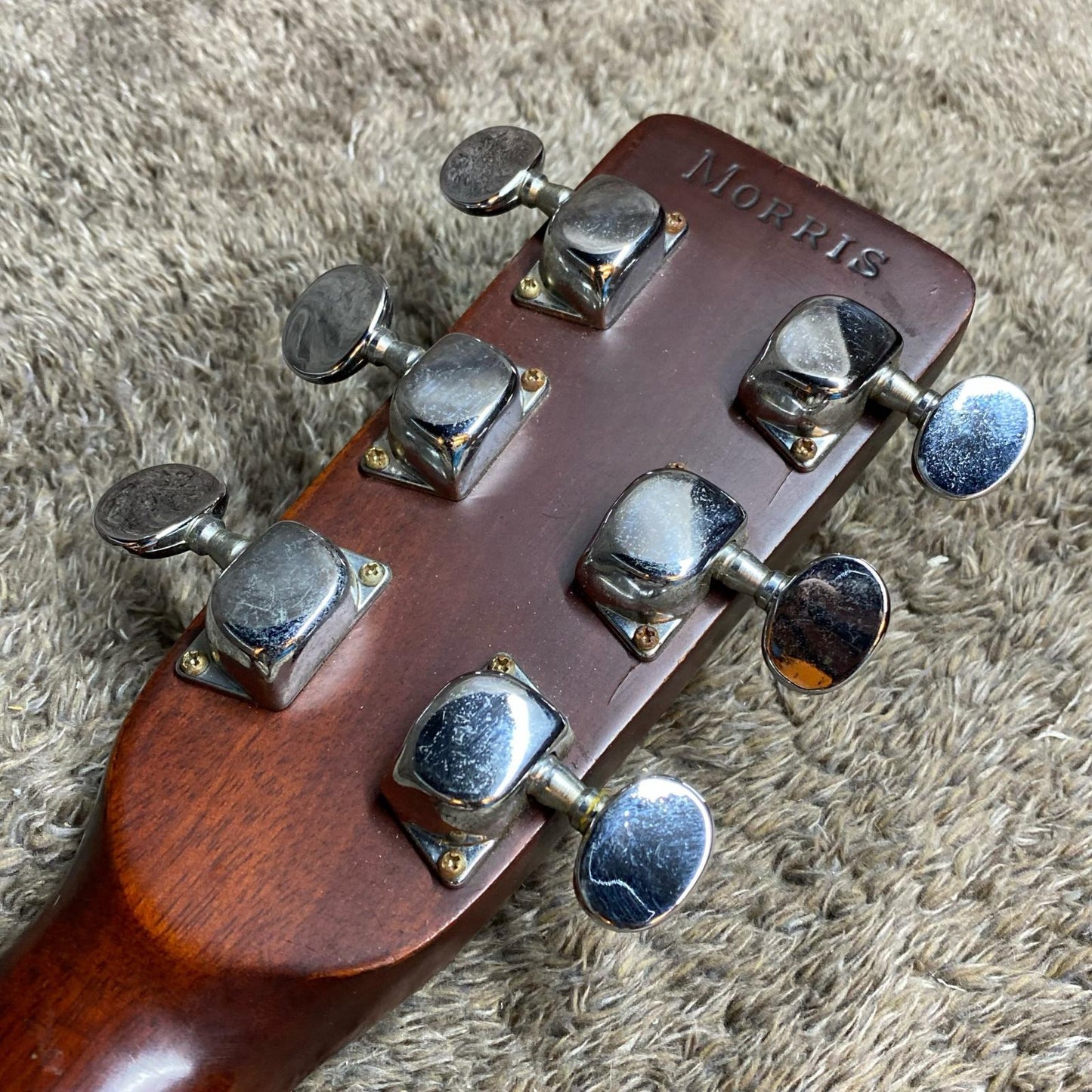 Morris | モーリス 楽器 F-15【尾張小牧店】