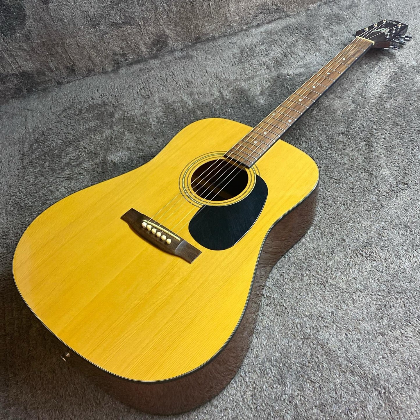 Takamine | タカミネ 楽器 T-1N【尾張小牧店】