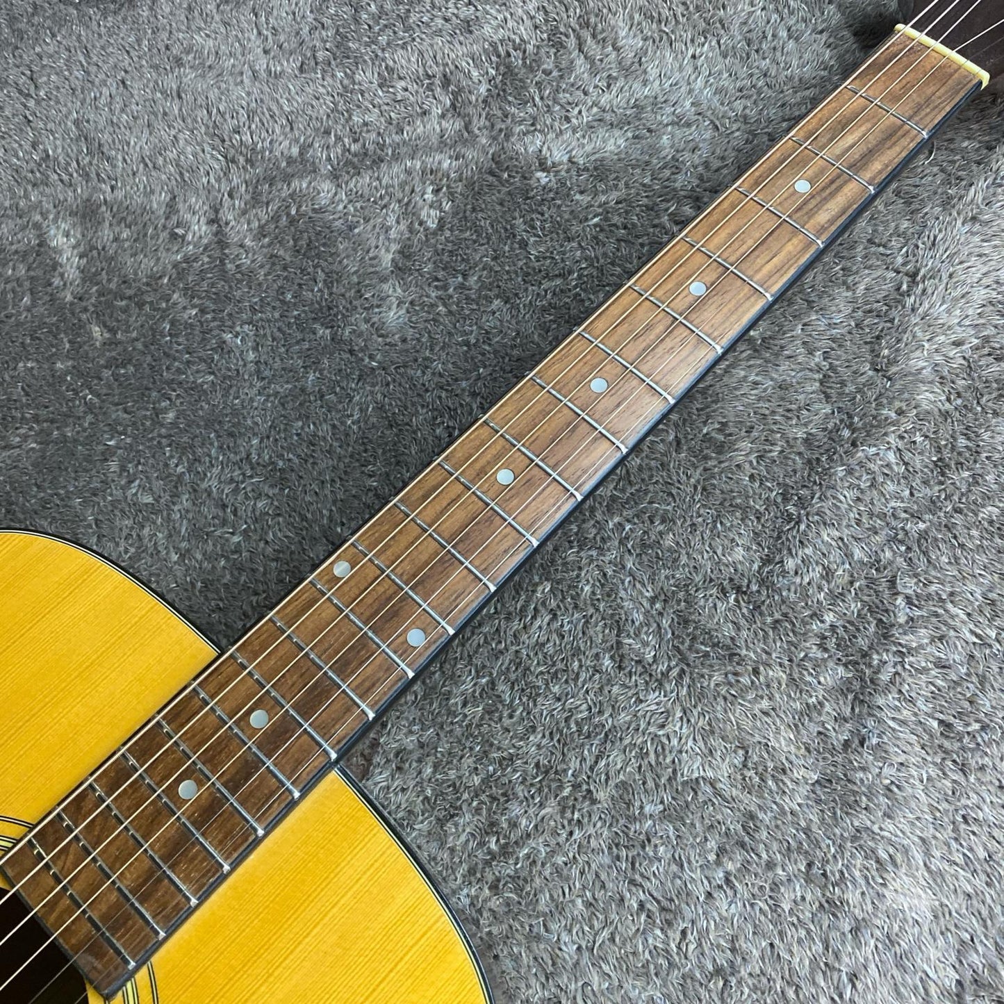 Takamine | タカミネ 楽器 T-1N【尾張小牧店】