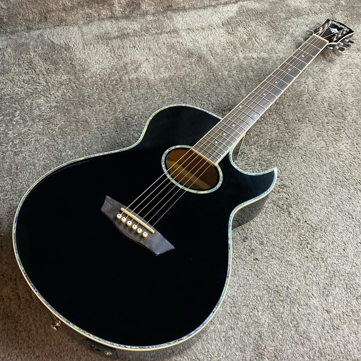 Washburn | ワッシュバーン 楽器 EA21-B【尾張小牧店】