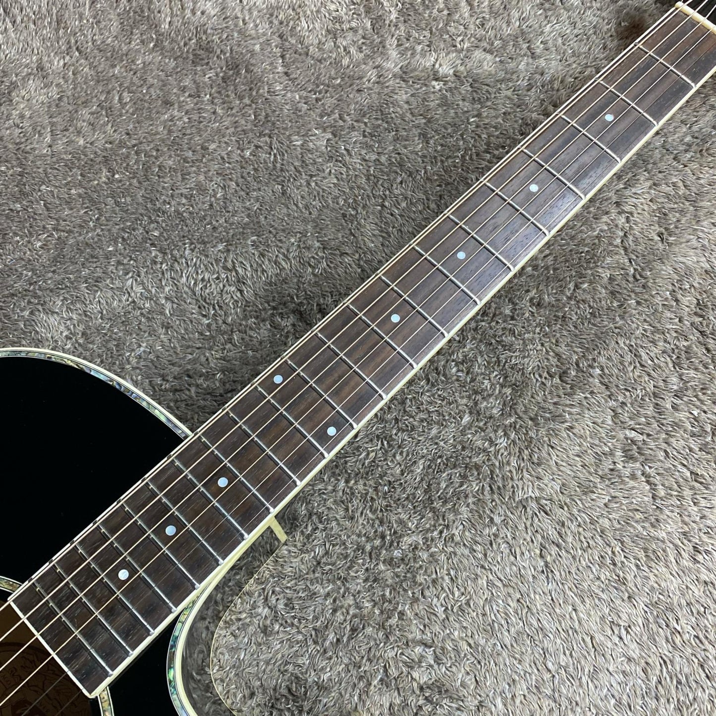 Washburn | ワッシュバーン 楽器 EA21-B【尾張小牧店】