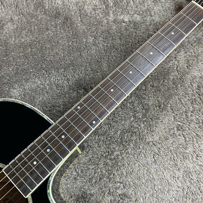 Washburn | ワッシュバーン 楽器 EA21-B【尾張小牧店】
