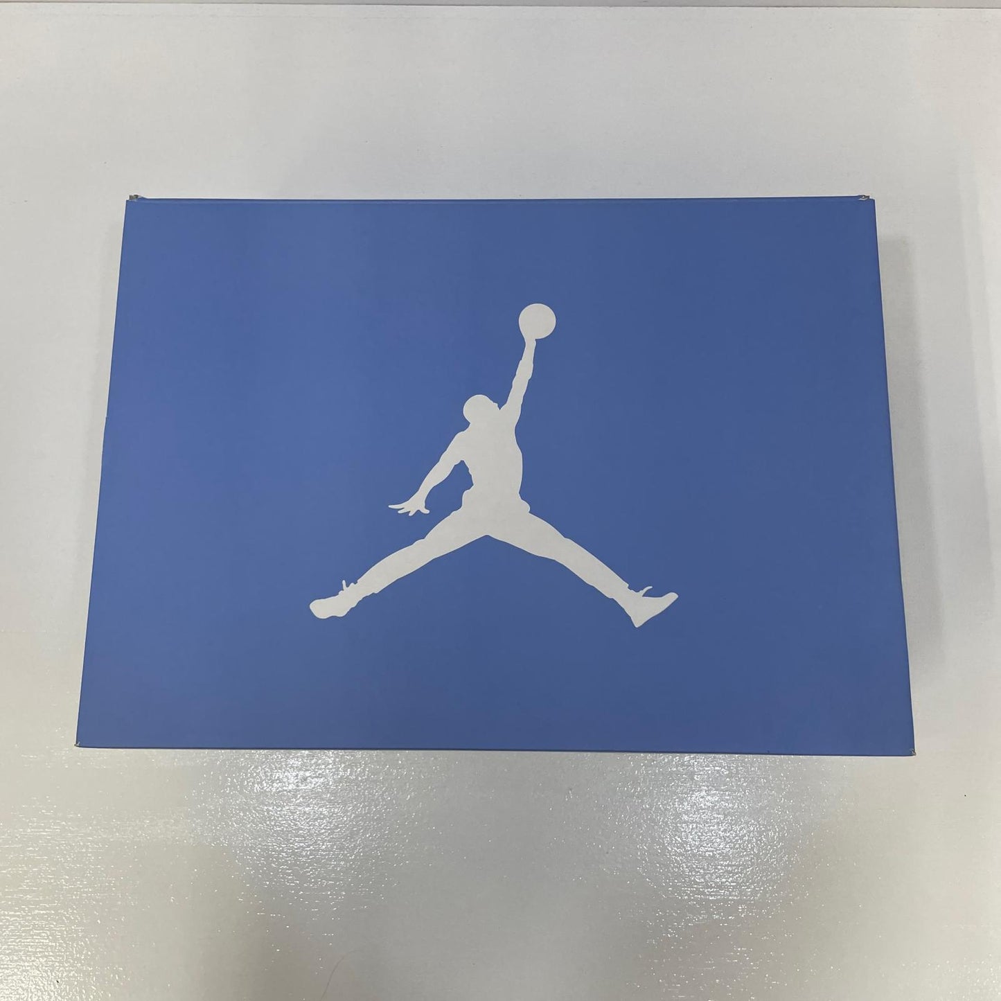 NIKE | ナイキ Air Jordan 6 スニーカー 27.5cm CT8529-410 ホワイト