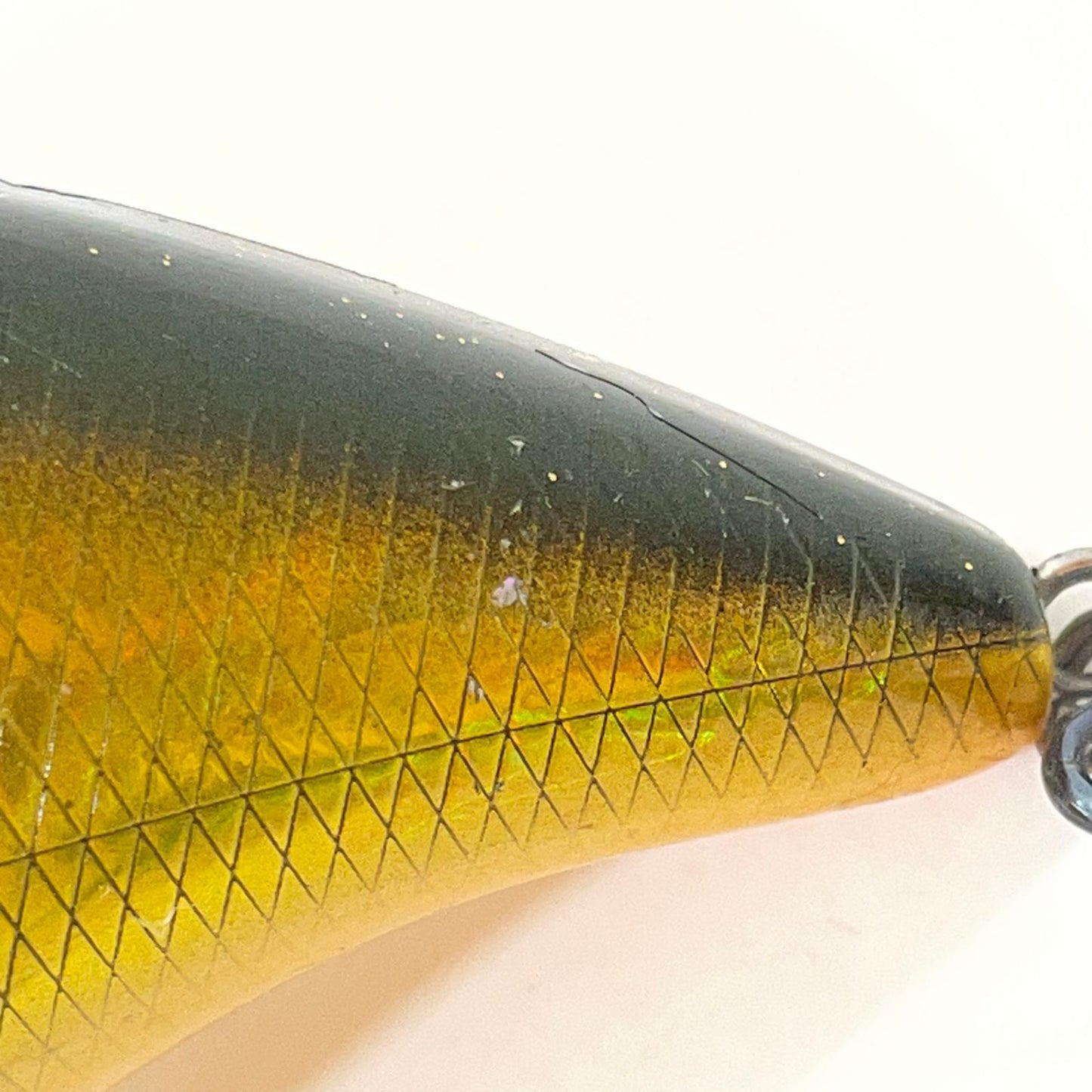 【フィッシング/釣り/釣具/ルアー】Megabass | メガバス グレネード　メガバスキンクロ【尾張小牧店】