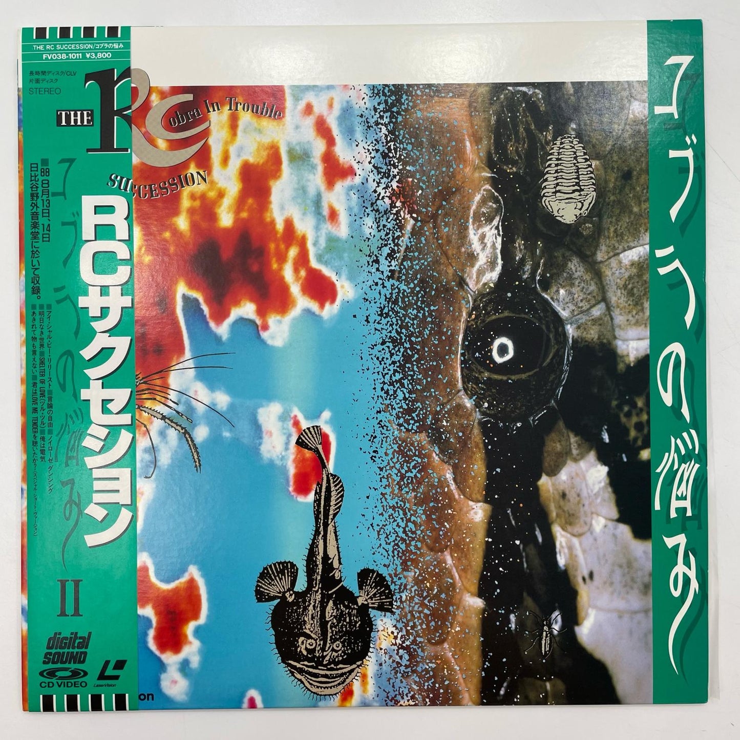 【尾張小牧店】LD RCサクセション/コブラの悩み レーザーディスク 【レトロ】【中古】