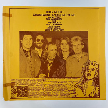 【尾張小牧店】LP ロキシー・ミュージック champagne and novocaine TAKRL-1953-A マトリクス刻印　LP レコード 【レトロ】
