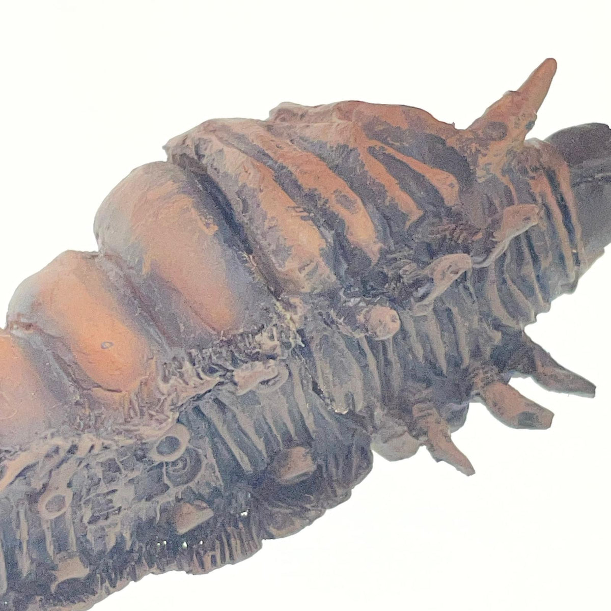【尾張小牧店】リペアあり！ゴジラVSモスラ幼虫 フィリピン沖の決戦 ゴジラ オーナメント特撮大百科コンプリート レジンキャスト製【レトロ】【中古】