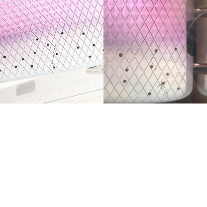 【フィッシング/釣り/釣具/ルアー】DRT | ディビジョンレーベルタックルズ KLASH FRENZY クラッシュフレンジー マジックトラウト【尾張小牧店】