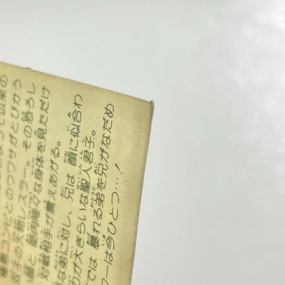 【尾張小牧店】ザ・双聖鬼 W-11 ガムラツイスト 3弾【レトロ】【中古】【ポスト投函】【代引き不可】