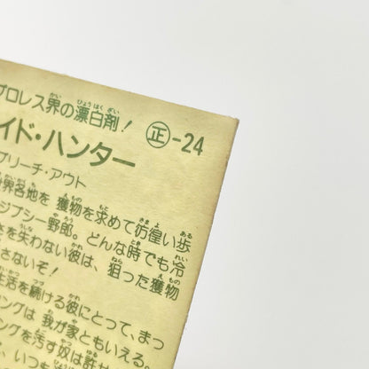 【尾張小牧店】 ワイド・ハンター 正-24 ガムラツイスト 5弾【レトロ】【中古】【ポスト投函】【代引き不可】