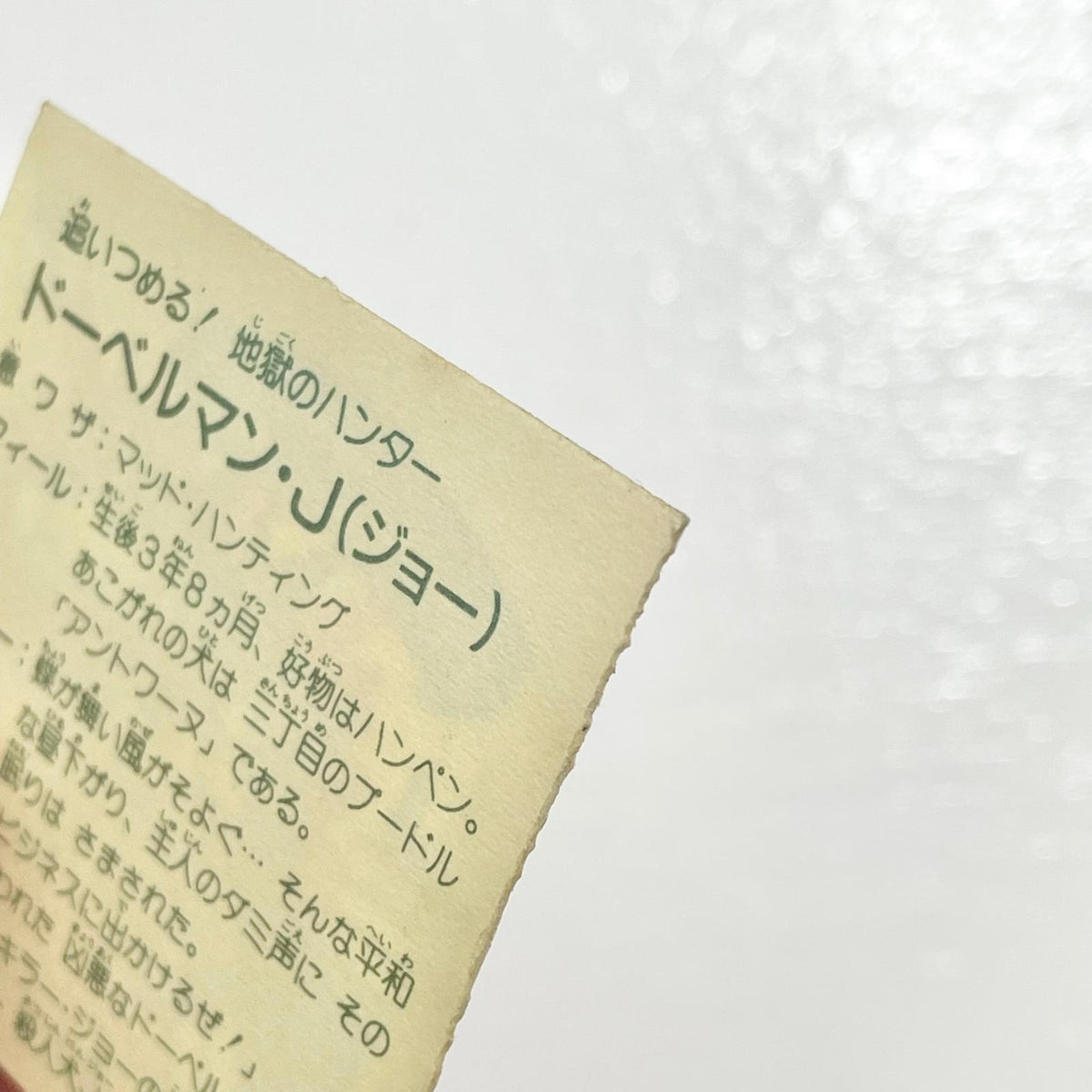 【尾張小牧店】ドーベルマン・J　ガムラツイスト 5弾【レトロ】【中古】【ポスト投函】【代引き不可】