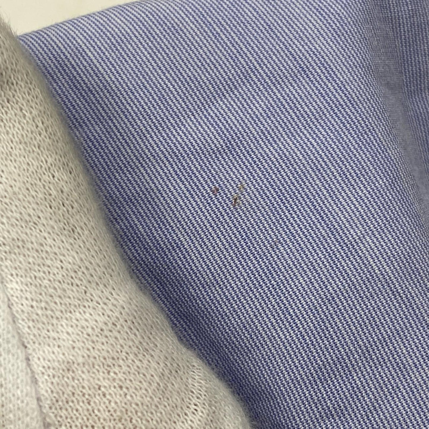 COMOLI | コモリ cotton V-NECK cut-sawn カットソー 135-02003 ブルー サイズ：2【加古川店】