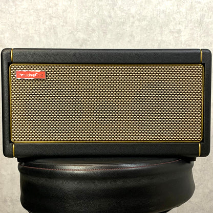 Positive Grid | ポジティブグリッド 楽器 Spark 40【加古川店】