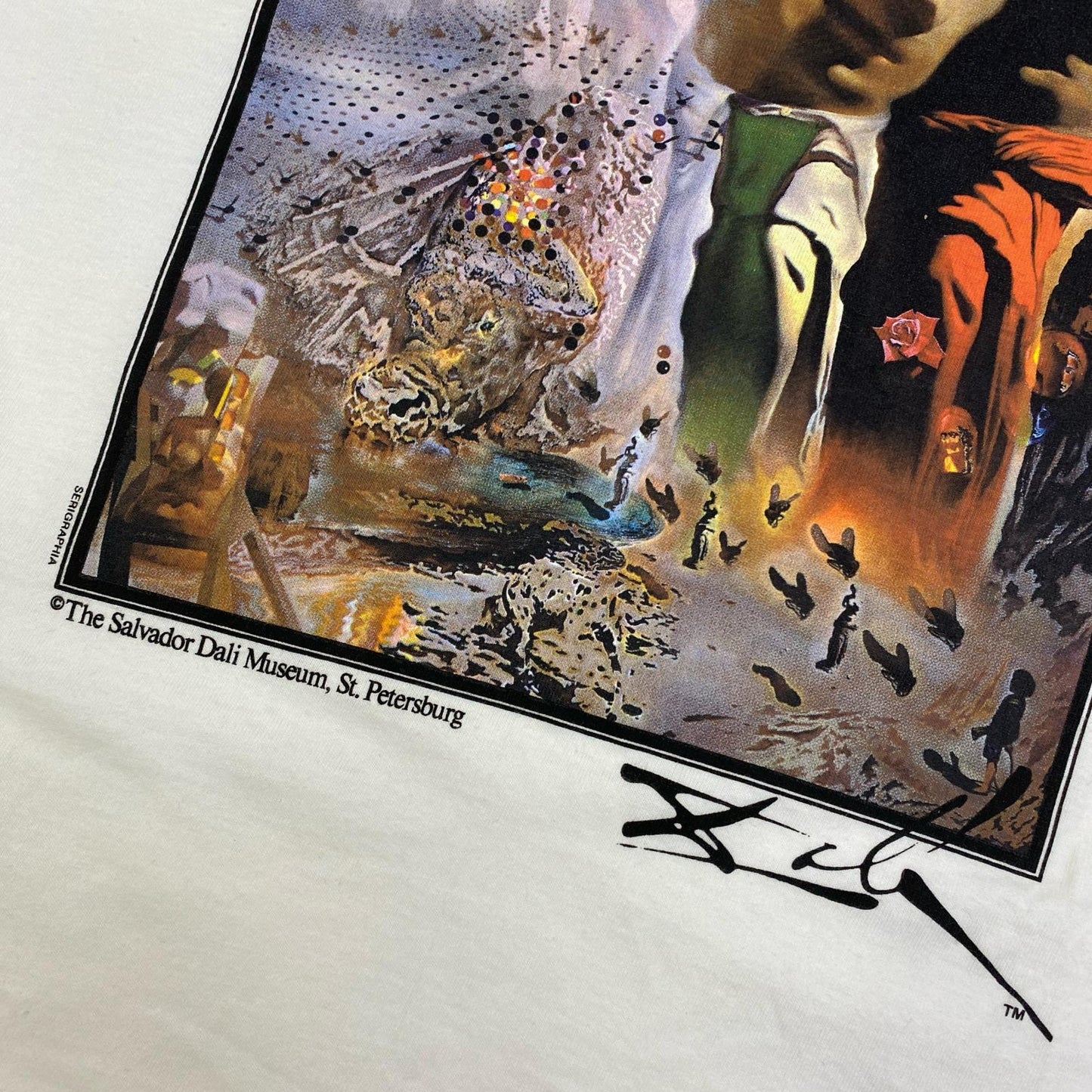 VINTAGE衣料 | ヴィンテージイリョウ salvador dali USA製 幻覚剤的闘牛士 長袖Ｔシャツ サイズ：M【加古川店】