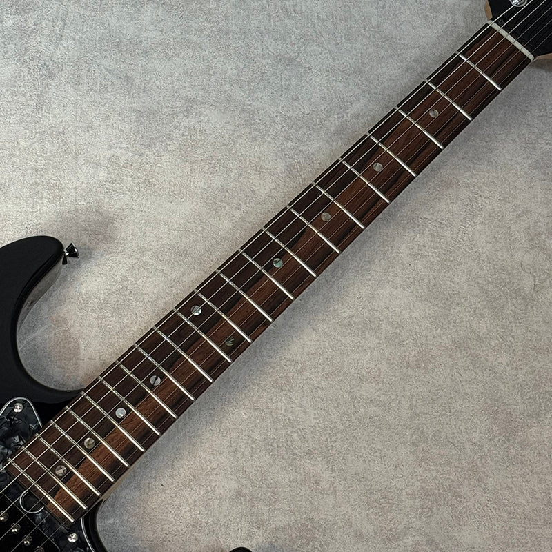T's Guitars | ティーズギター 楽器 DST-Classic 22 Custom Order 2025年製【加古川店】