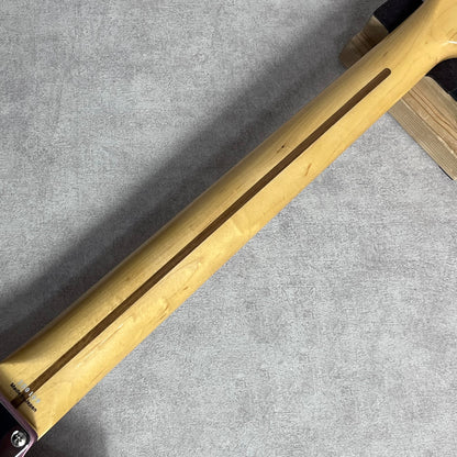 【新品】 Tokai | トーカイ 楽器 ATE-101 BGM/M【加古川店】