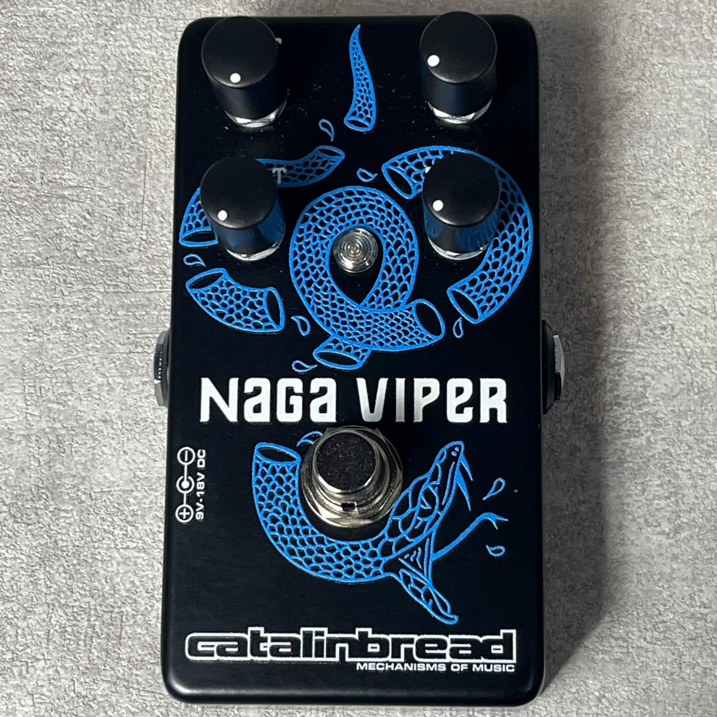【新品】 catalinbread | カタリンブレッド 楽器 NAGA VIPER MKII【加古川店】