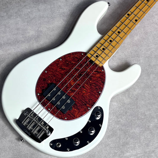 【中古】 Sterling by MUSIC MAN | スターリングバイミュジックマン 楽器 RAY24CA【加古川店】