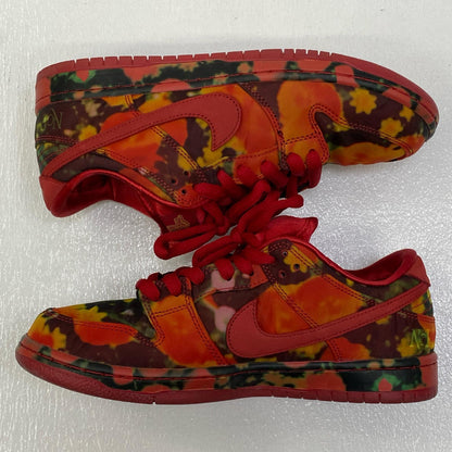 【中古】NIKE | ナイキ ×The Wizard of Oz SB Dunk Low スニーカー FZ1291-600 26.5cm【加古川店】