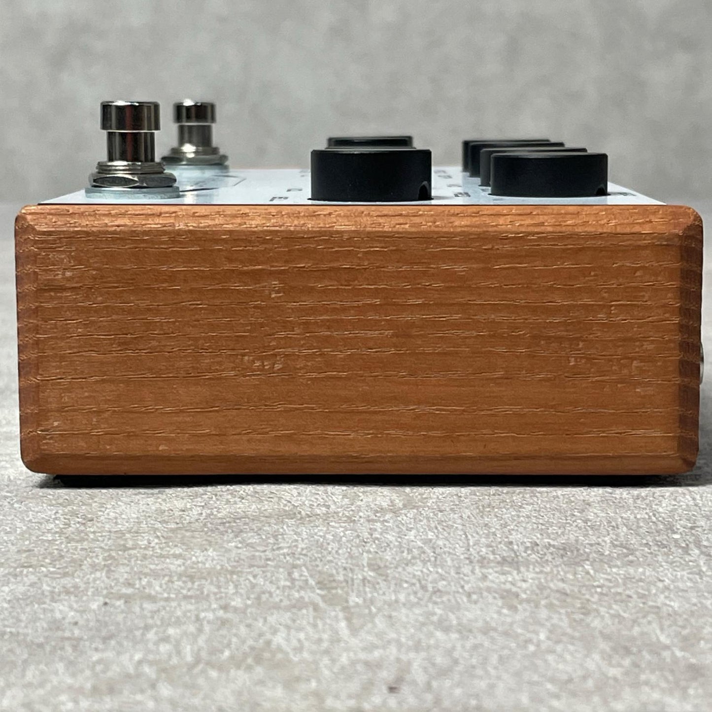 【新品】 楽器 The Fretless The Fretless / Chorus - Reverb - Midrange EQ【加古川店】