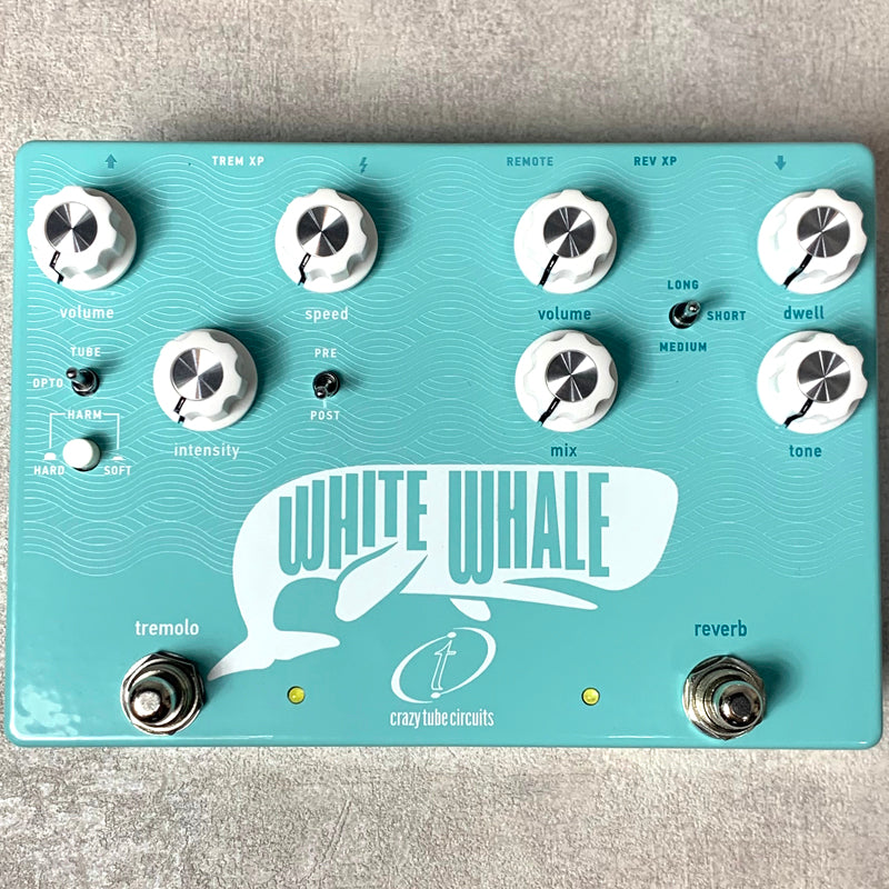 【新品】 Crazy Tube Circuits | クレイジーチューブサーキット リバーブ 楽器 White Whale V2【加古川店】
