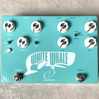 【新品】 Crazy Tube Circuits | クレイジーチューブサーキット リバーブ 楽器 White Whale V2【加古川店】