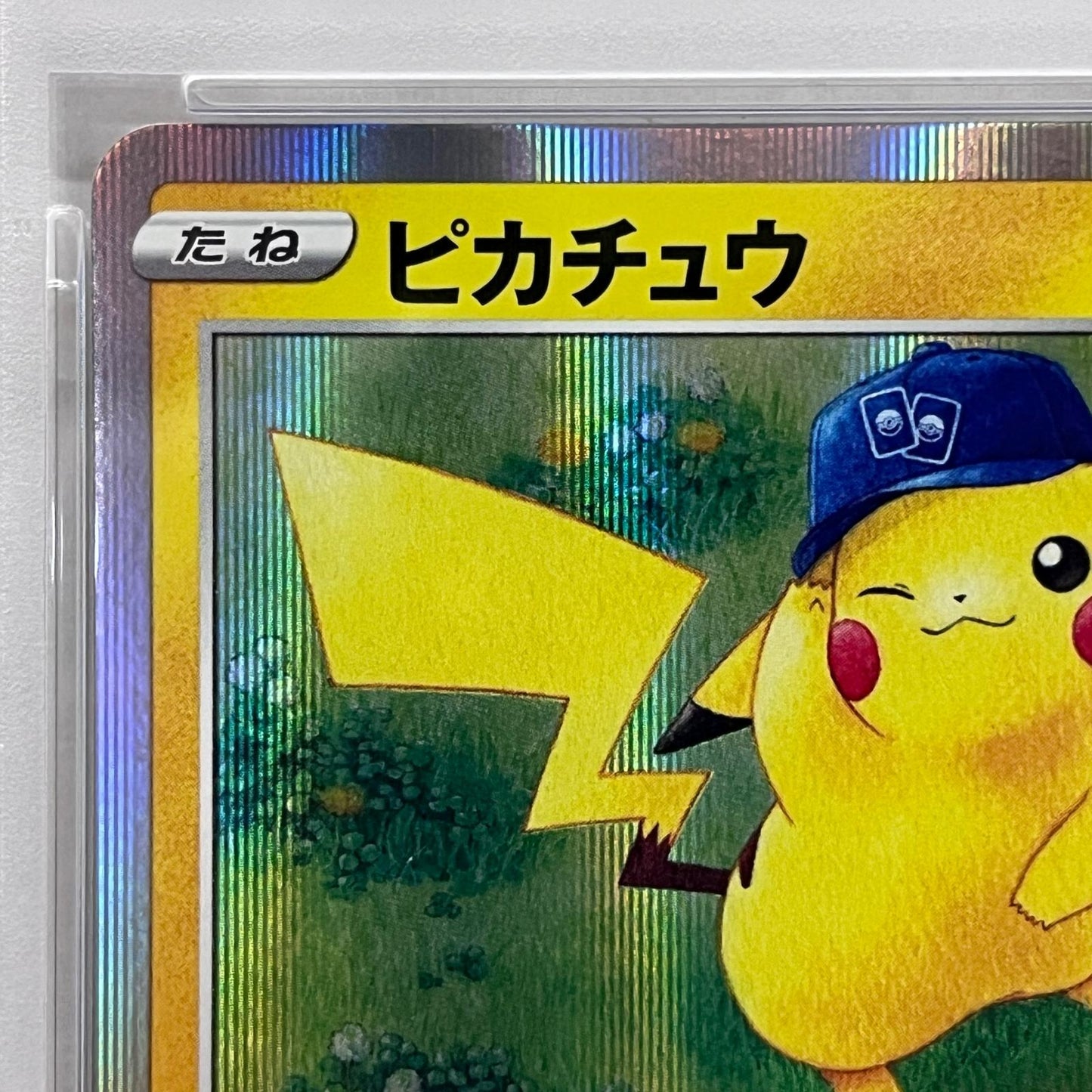 【中古】 ピカチュウ R 028/071 PSA10


serial:141271736【加古川店】