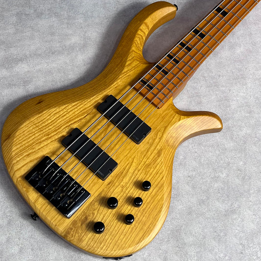 【中古】 Schecter | シェクター 楽器 Riot 5 Session 2023年製【加古川店】