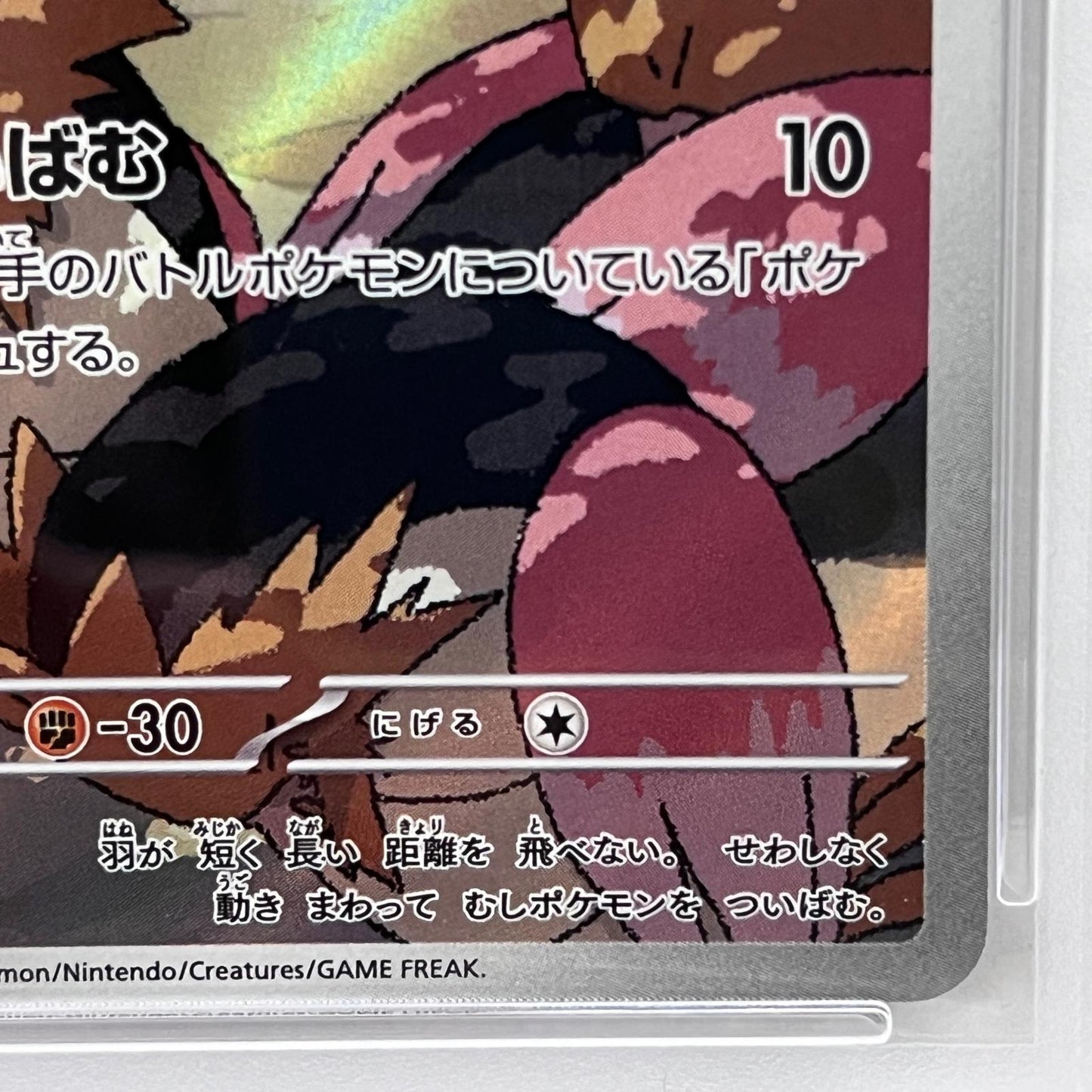 【中古】 オニスズメ AR 074/063 PSA10


serial:152762831【加古川店】