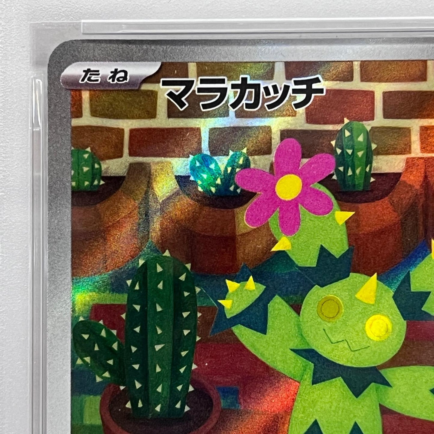 【中古】 マラカッチ AR PSA10


serial:136573135【加古川店】