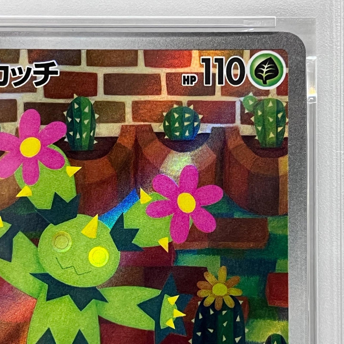 【中古】 マラカッチ AR PSA10


serial:136573135【加古川店】