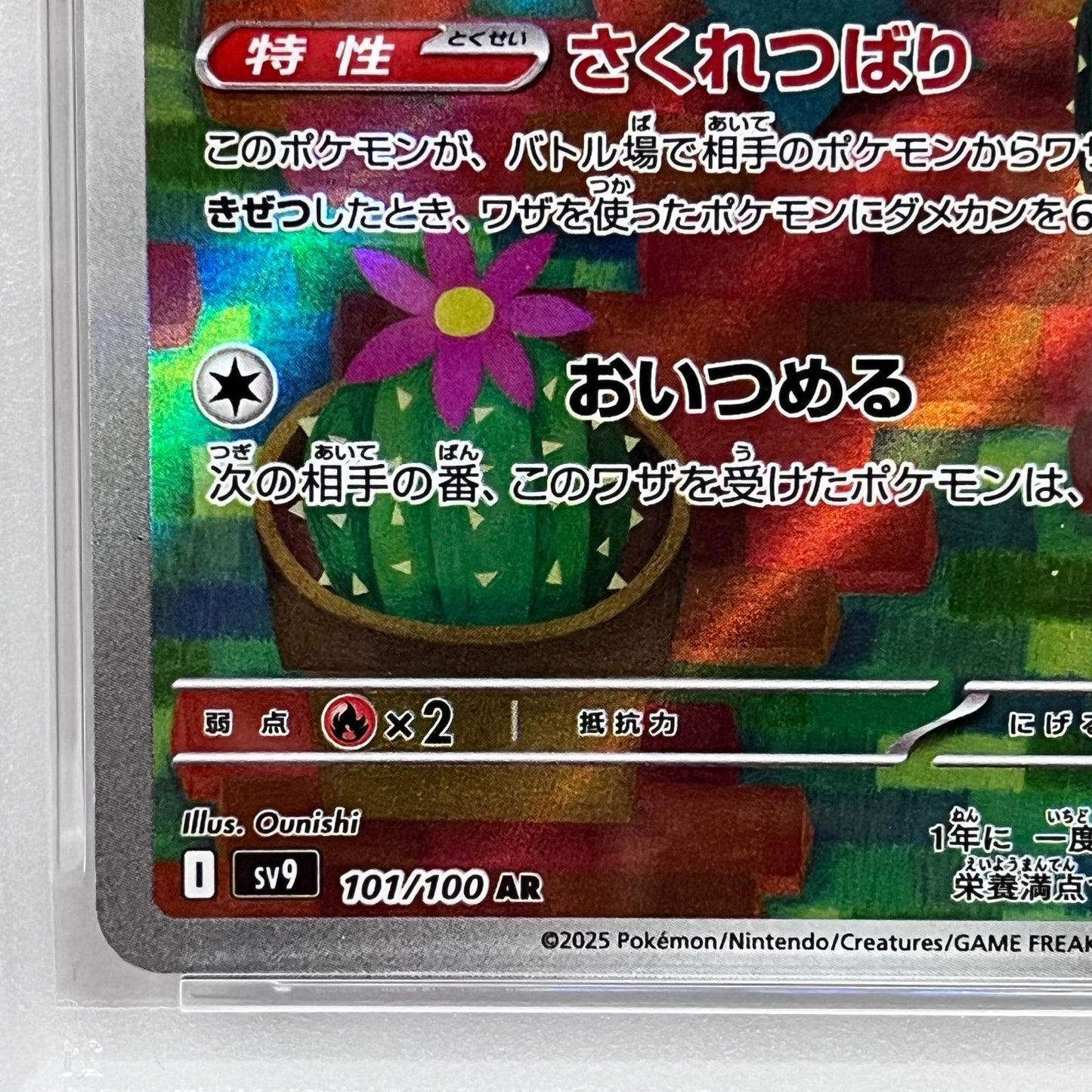 【中古】 マラカッチ AR PSA10


serial:136573135【加古川店】