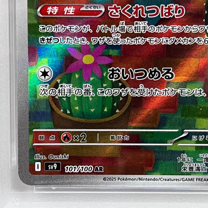 【中古】 マラカッチ AR PSA10


serial:136573135【加古川店】