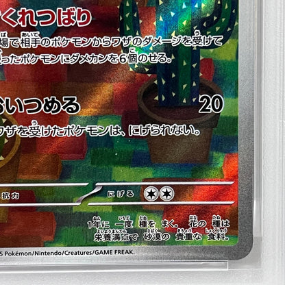 【中古】 マラカッチ AR PSA10


serial:136573135【加古川店】