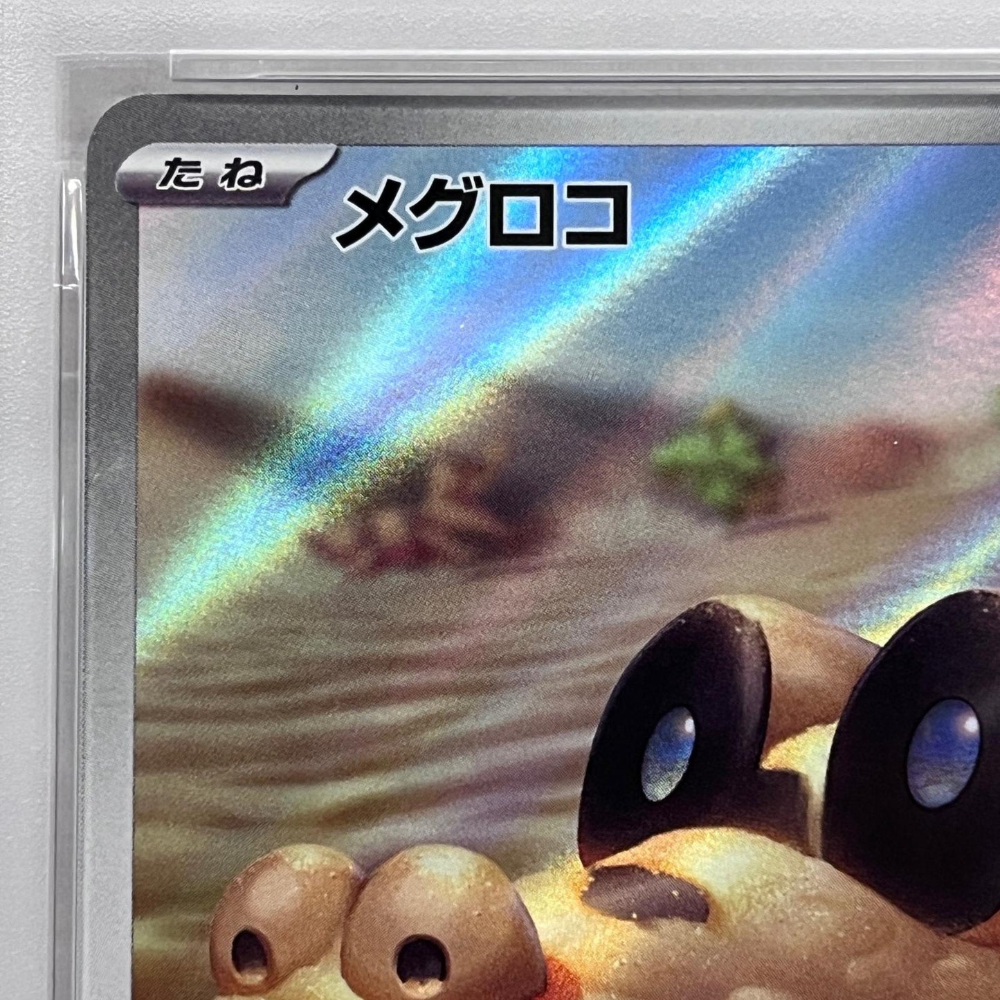 【中古】 メグロコ AR PSA10


serial:125280453【加古川店】