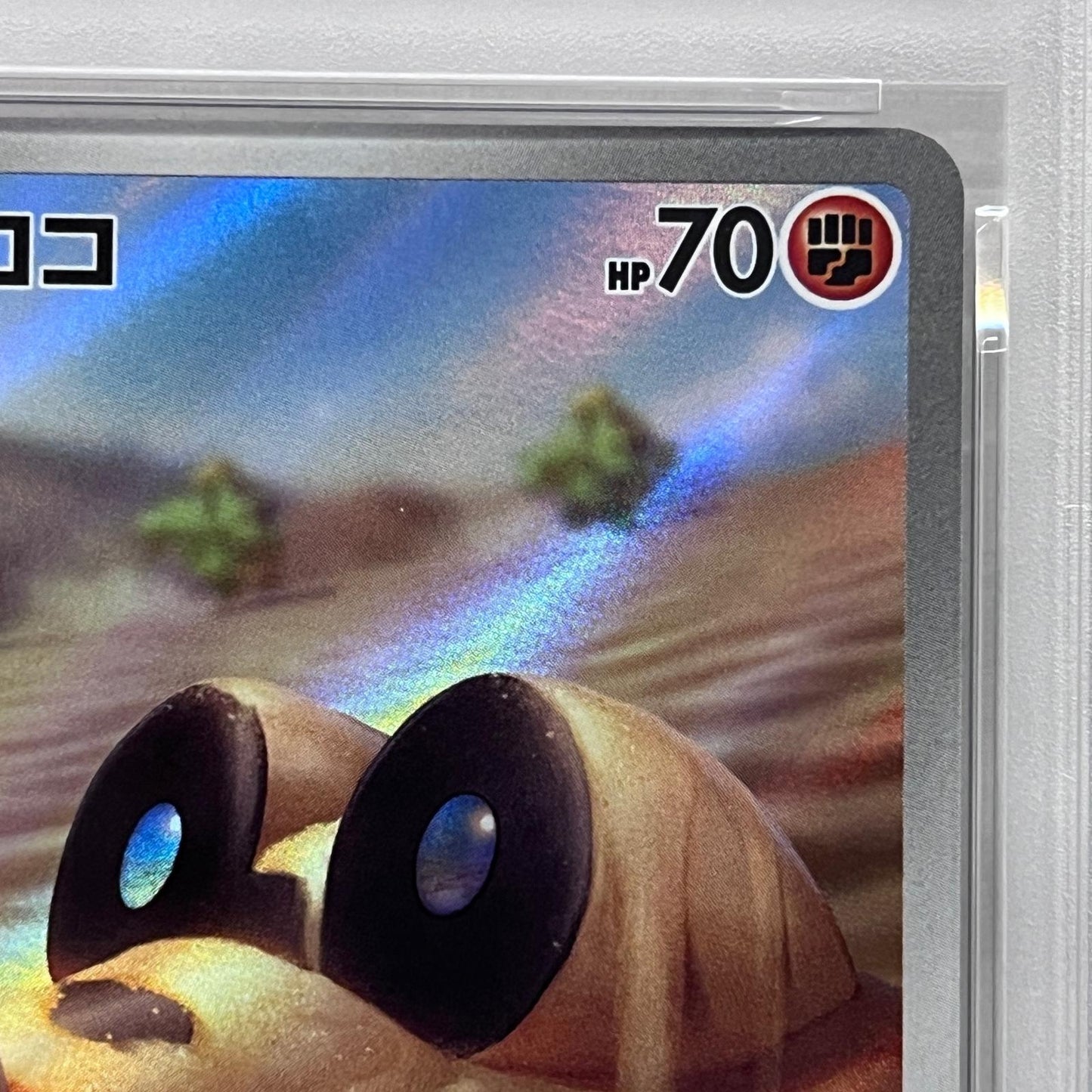 【中古】 メグロコ AR PSA10


serial:125280453【加古川店】
