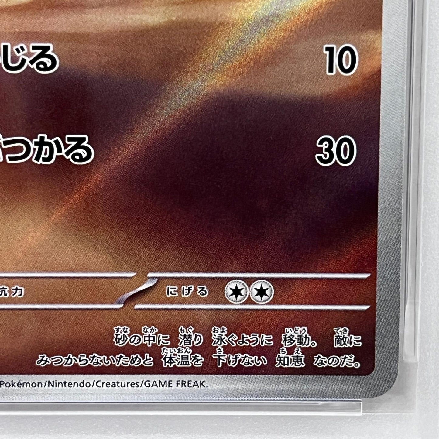 【中古】 メグロコ AR PSA10


serial:125280453【加古川店】
