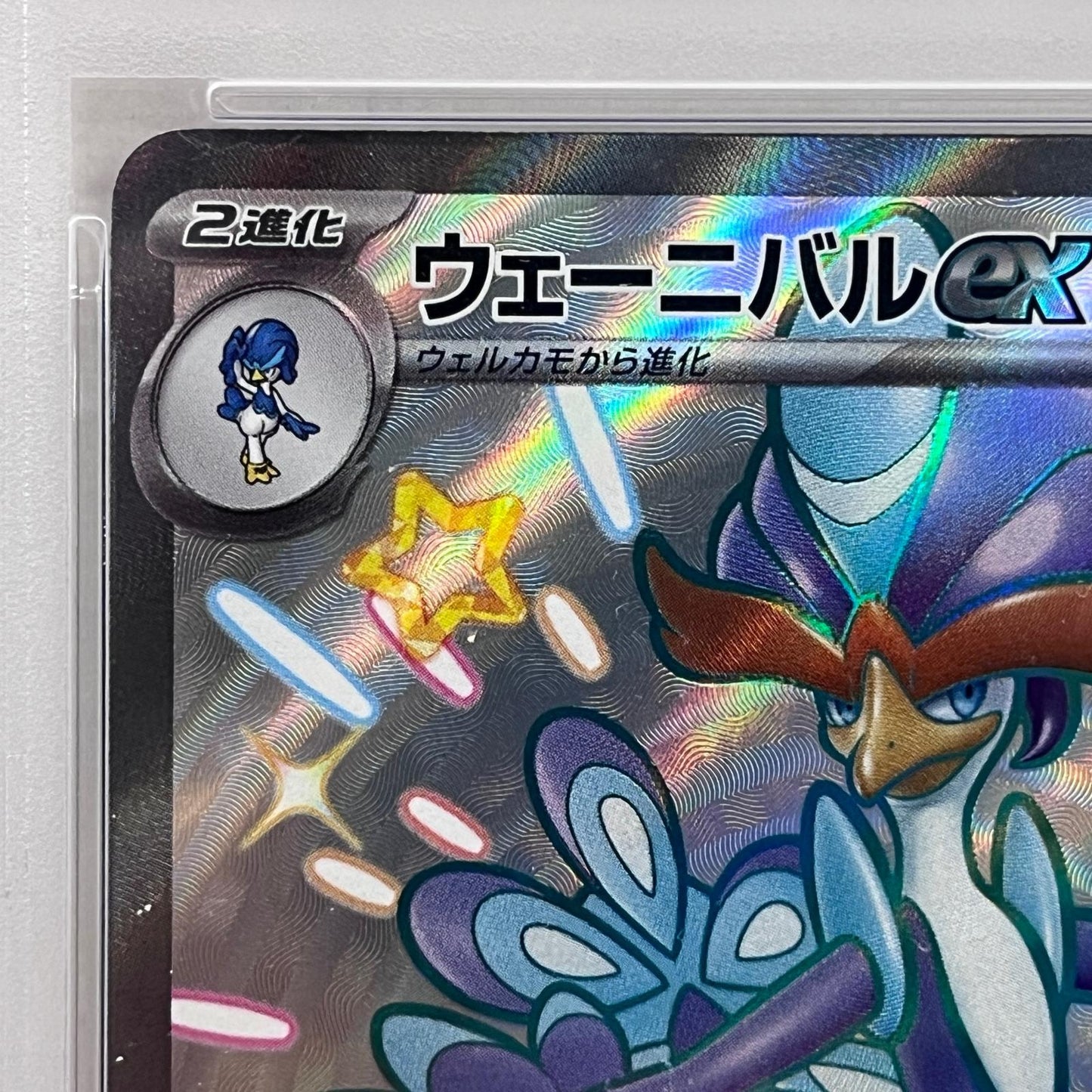 【中古】 PSA10 ウェーニバルex SSR 325/190


serial:144013498【加古川店】
