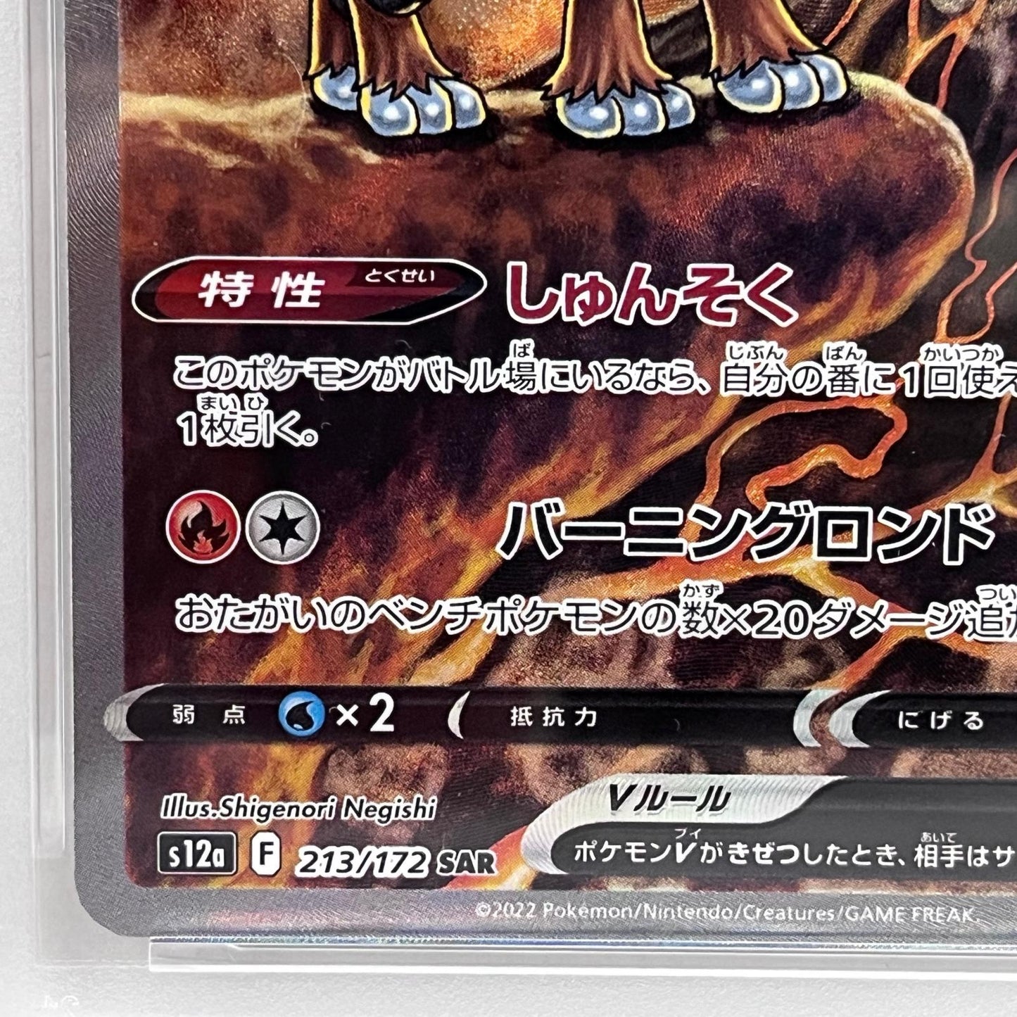 【中古】 PSA10 エンテイV SAR 213/172


serial:152712298【加古川店】