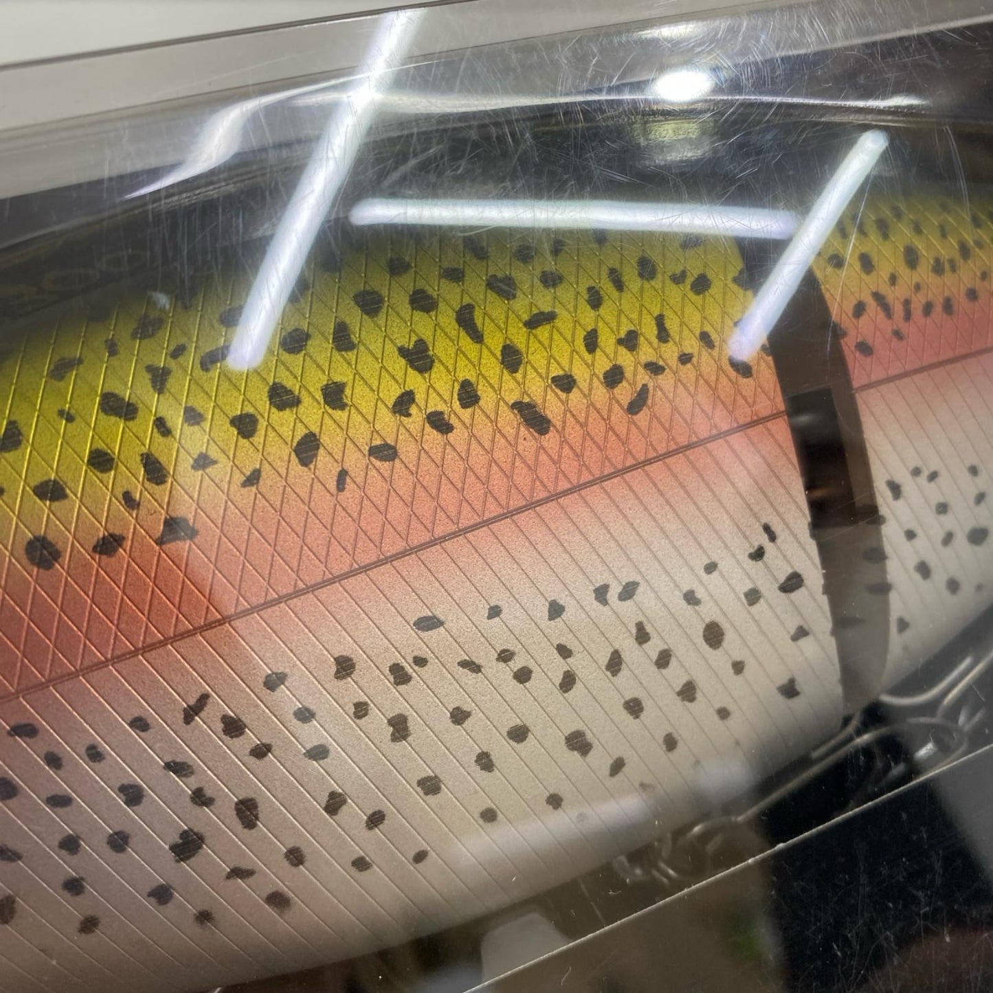 【フィッシング/釣り/釣具/ルアー】Gamakatsu | がまかつ ラフィン300 グリッターレインボー【加古川店】
