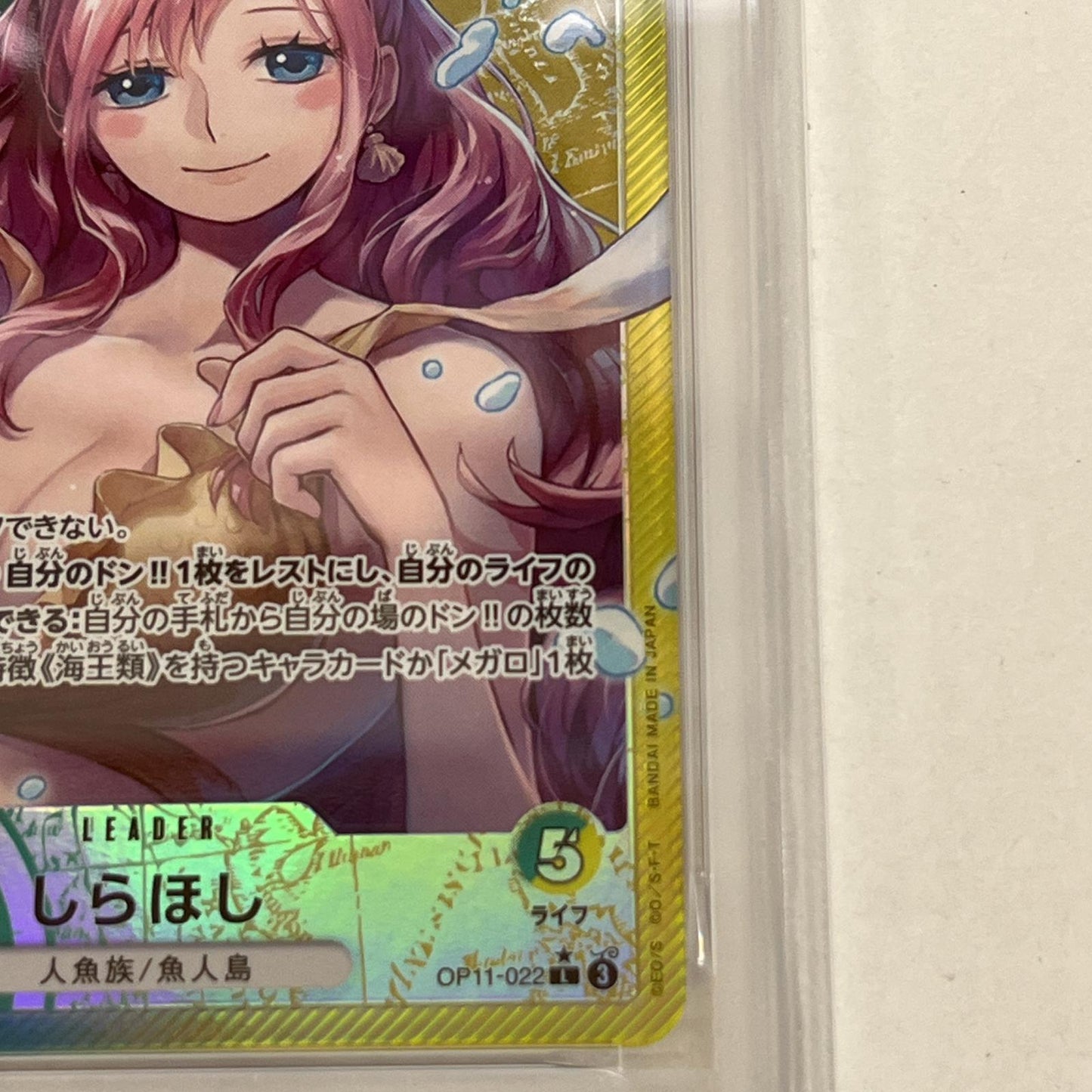 PSA10 しらほし L リーダーパラレル OP11- serial:150184850【加古川店】