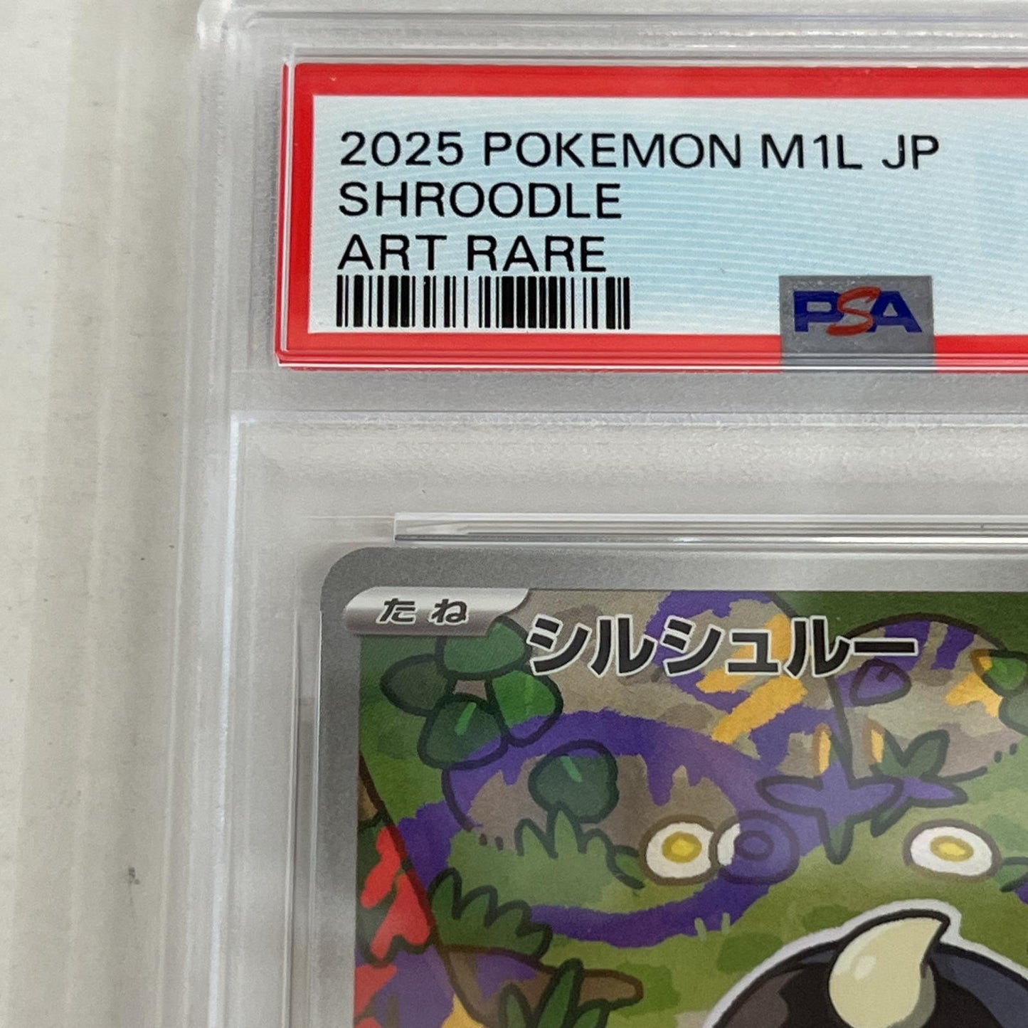 PSA10 シルシュルー AR 072/063 serial:145537677【加古川店】