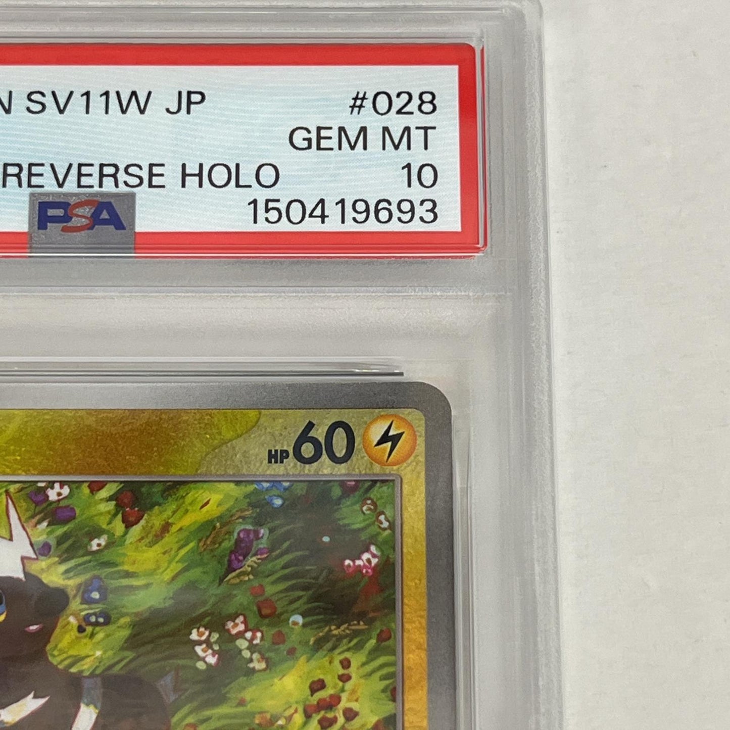 PSA10 シママ C 028/086 マスターボール serial:150419693【加古川店】