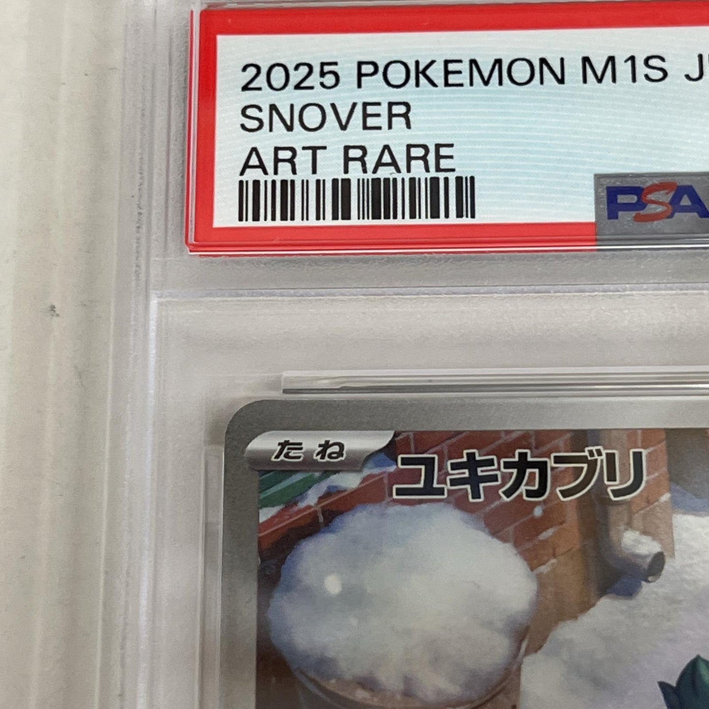 PSA10 ユキカブリ AR 067/063 serial:144049624【加古川店】