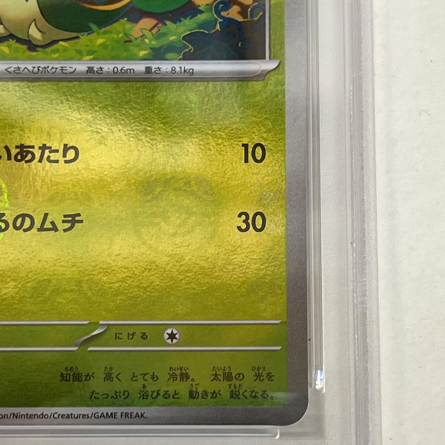 PSA10 ツタージャ C 001/086 マスターボール serial:129652938【加古川店】