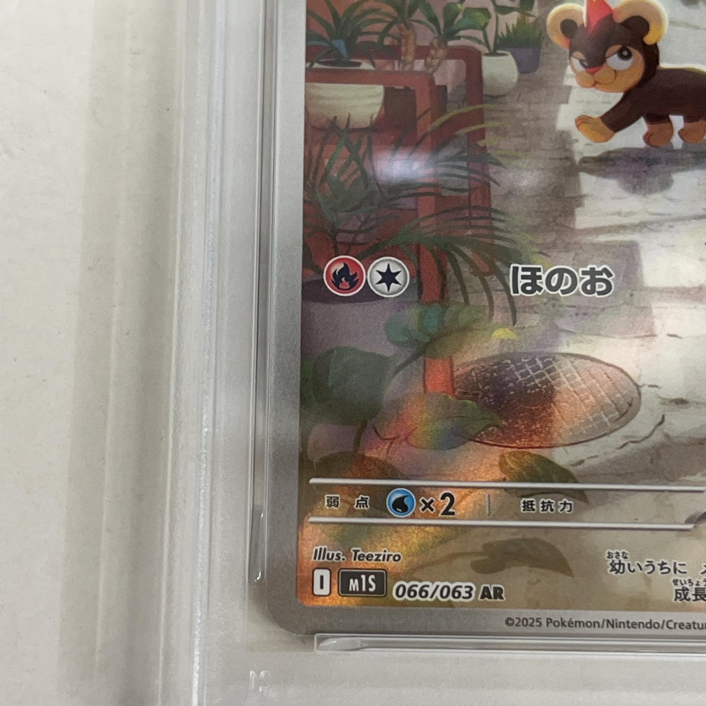 PSA10 シシコ AR 066/063 serial:158783704【加古川店】